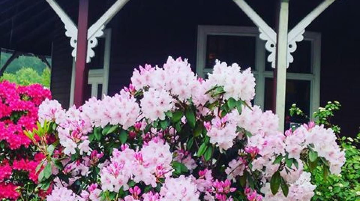 Memorial Day Weekend Train Rides Seattle Area Family Fun Calendar